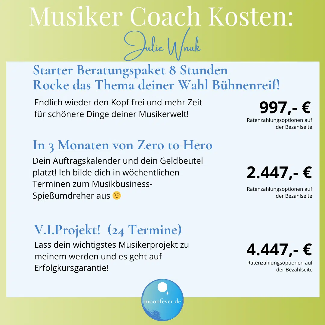 Musiker Coach Kosten